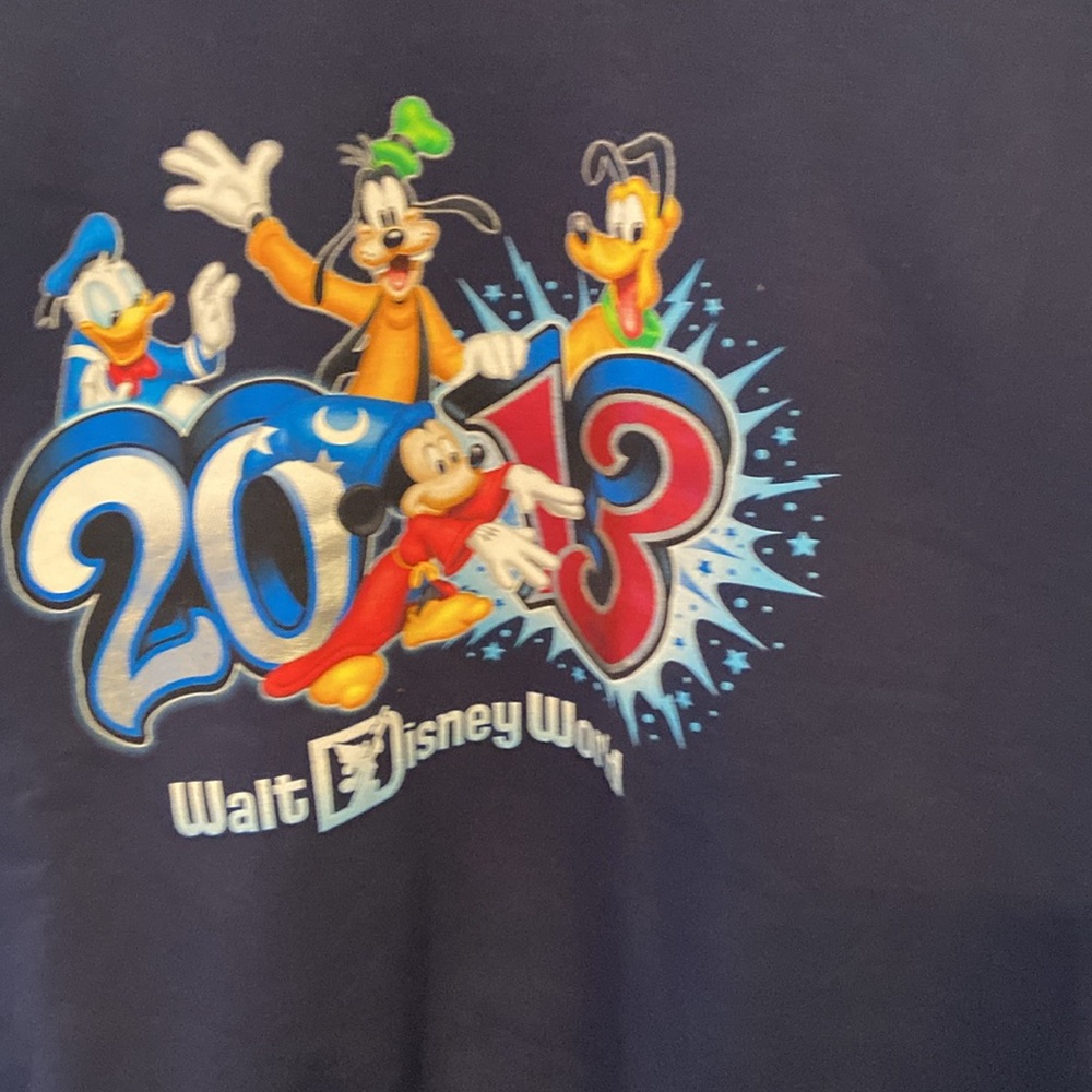 Disney Navy Blue 2013 Walt Disney World Character Sweatshirt - Picture 3 of 7